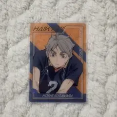 【匿名配送】ハイキュー トレーディング箔押しクリアカード 菅原孝支