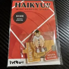 ハイキュー‼︎ ミニアクリルスタンド 孤爪研磨