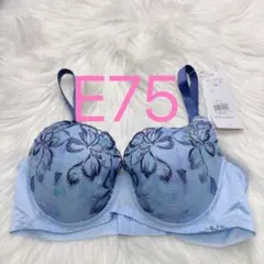 トリンプ 天使のブラ 魔法のハリ感606 ブラジャー ブルー E75