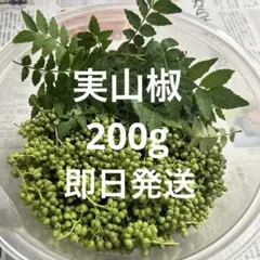 東北 山形県産 実山椒 200g 柔らかい - メルカリ