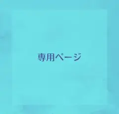 専用ページ