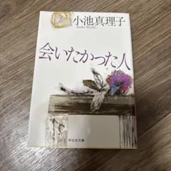 会いたかった人