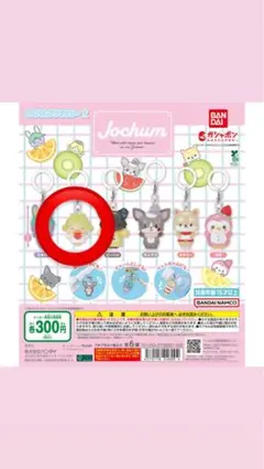 2026年最新】ジェオチャム もこの人気アイテム - メルカリ