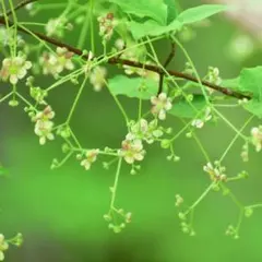 ともたん様 リクエスト 4点 まとめ商品