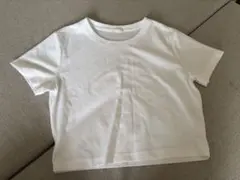 Item thumbnail for item 3934cc18-1c78-42e1-8206-93942ebe4043