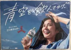 美品 サザンオールスターズ タペストリー ポスター アサヒ 三ツ矢