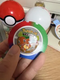 ポケパーク カントー ポケモンピンバッジ 5点＋＋モンスターボール＋袋
