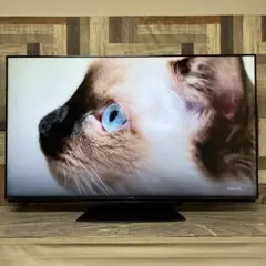 全国送料込❣️ジャパンネクスト65型曲面4K液晶ディスプレイスピーカー