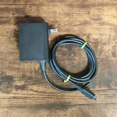 Switch　ACアダプター 充電器　純正品