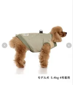 Item thumbnail for item c43af9ce-4708-421b-bf27-69da10685631