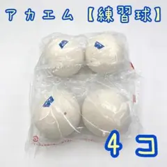 [연습용 볼] 아캄 소프트 테니스볼 화이트 4개 (M40000)