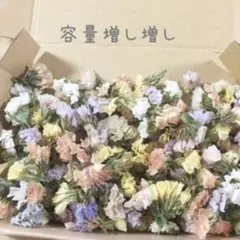 ♡花材❤︎素材♡ニュアンスカラーのスターチス*ヘッド*レジンアクセサリーキャンドル