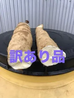 徳之島産キャッサバ生芋イエロー15キロ入り ＳＫです。 徳之島産キャッサバ生芋訳あり品3キロ入り - メルカリ