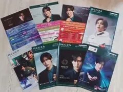 Snow Man　目黒蓮　カタログ　フライヤー　8点　REGZA　レグザ　パンフ