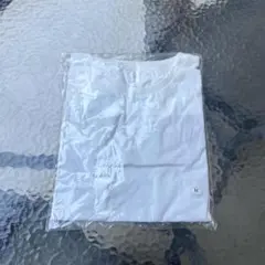 Item thumbnail for item c1a2f700-82f8-4aea-9730-ce80328752a9