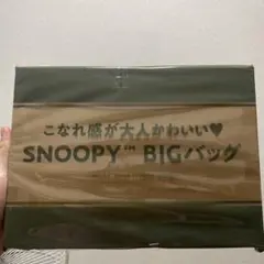 レタスクラブ 付録 スヌーピーBigバッグ