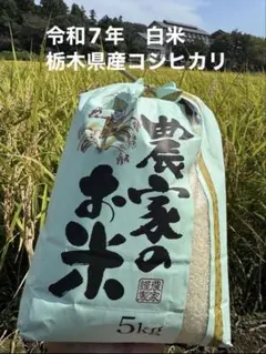 令和7年栃木県産コシヒカリ4.8kgのサムネイル