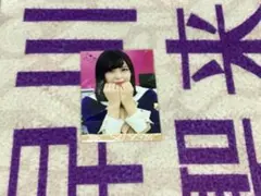 Item thumbnail for item 0211acd1-e166-4ef3-9481-2f7ce86609ca