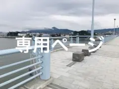 専用ページ