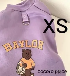 Item thumbnail for item 0b64b895-454b-447a-a5d2-743fdeb9a2e3