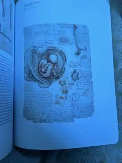 Leonardo da Vinci Experience, Experimen