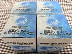 WIND BREAKER展 棪堂哉真斗 缶バッジ まとめ売り - メルカリ