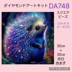 DA748★ダイヤモンドアートキット★スクエアビーズ★フェアリーダストビーズ入り
