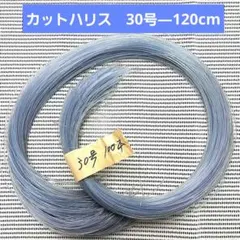 Item thumbnail for item aa1a8b93-58f8-4a51-ab57-66cfdfa84fdd