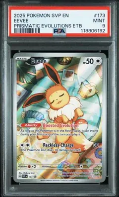 V*s様 イーブイヒーローズEvolving Skies エリートトレーナーBO ポケモンカードゲーム ソード&シールド エリートトレーナー