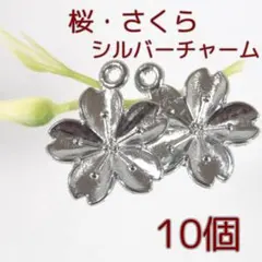 さくらの花 サクラ 桜 チャーム【10個入】シルバー（C067-Ni10）