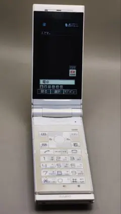 Item thumbnail for item 7f8c39a9-a8ce-40c0-8c62-3a5f36abb4d2