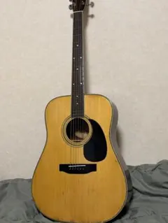 Seagull S6+ Spruce / シーガルS6スプルース - メルカリ
