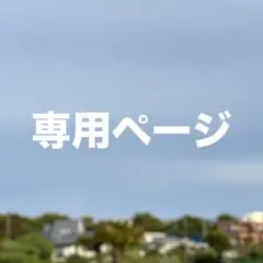 専用ページです