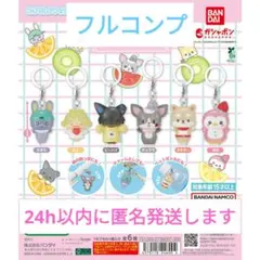 【最安値】JOCHAM めじるしアクセサリー 2