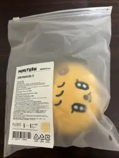 seventeen ミニティーン　プギュリ　スングァン　セット　2025 SEVENTEEN セブチMINITEEN ミニティーン スングァン プギュリ