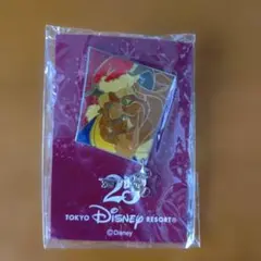 2025年最新】ディズニー 25周年 ピンバッジの人気アイテム