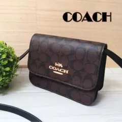 極美品 COACH ミニブリン クロスボディ ショルダーバッグ シグネチャーのサムネイル