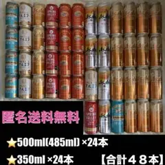 合計48本 ビール等 詰め合わせ まとめ売り スプリングバレー - メルカリ