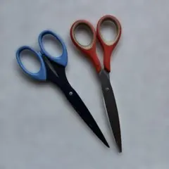 Item thumbnail for item 3fc53c83-20f8-440e-bc46-66dc9cc19727