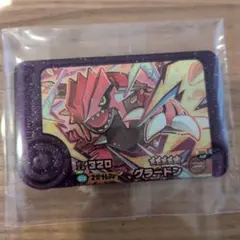 ポケモンフレンダ グラードン 5★カード 02