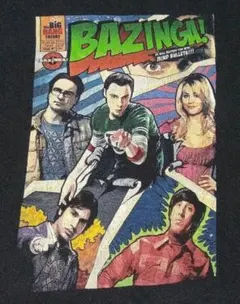 THE BIG BANG THEORY ビッグバンセオリー ヴィンテージTシャツ