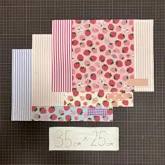 35×25 3枚セット　ランチョンマット　ランチクロス　ナフキン　ハンドメイド