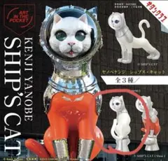 KENJI YANOBE SHIP'S CAT （returns）