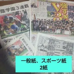 Item thumbnail for item c323d843-838f-4ad1-be4f-f822b5996675