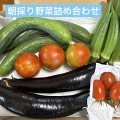 新鮮野菜詰め合わせ １キロのサムネイル