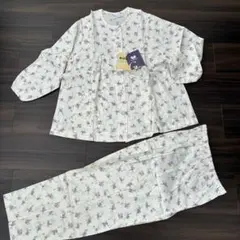 Item thumbnail for item 868535c5-e1ad-456b-8268-91592814ad56