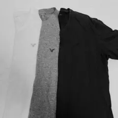 アメリカンイーグル Tシャツ 白 紺色 グレー ネイビー