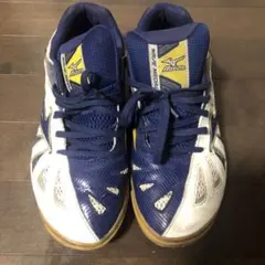 ミズノ 卓球シューズ
