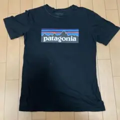 N*y様 patagonia ブラック Tシャツ XL レディース