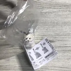ガチャガチャ カプセルトイ もっちりパピーのめじるしマスコット シーズー